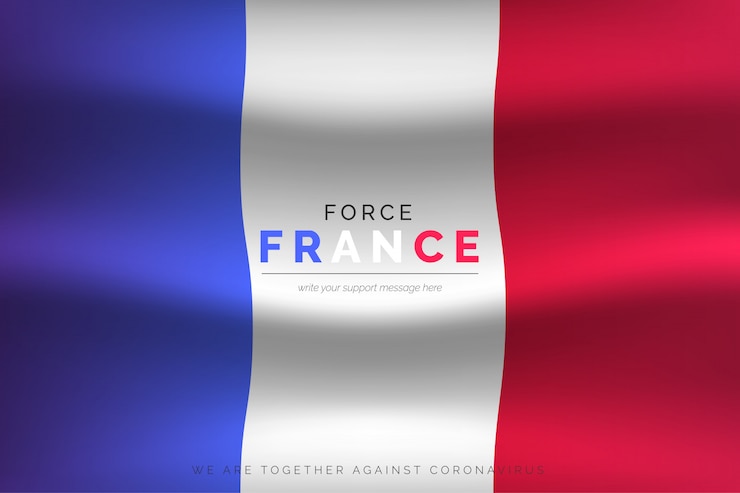 Vector gratuito bandera francesa realista con mensaje de soporte