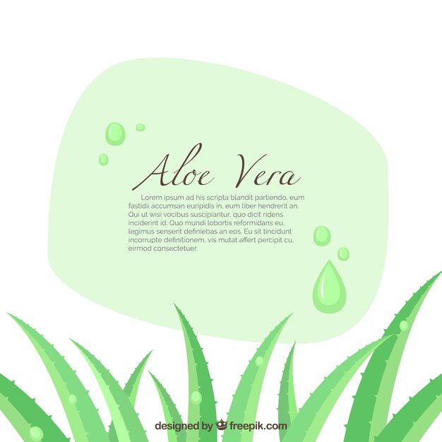 Banner aloe vera ilustración