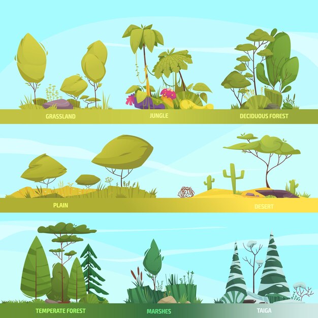 Banner de dibujos animados de tipos de ecosistemas con composiciones de bosques templados y desiertos ilustraciones vectoriales aisladas