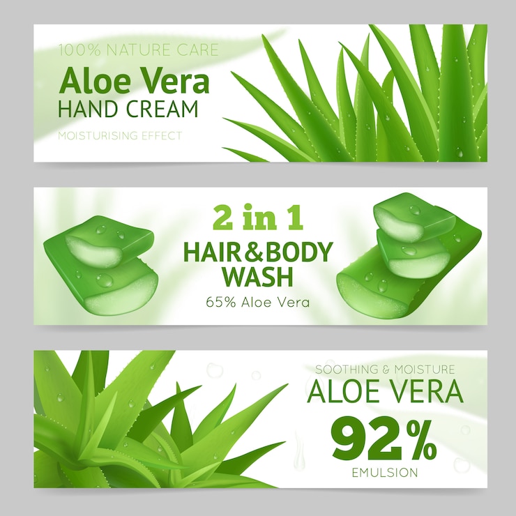 Vector gratuito banner de hojas de aloe vera