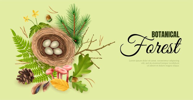 Banner horizontal de bosque botánico realista con texto adornado editable y nido de pájaros con huevos e imágenes de hojas ilustración vectorial