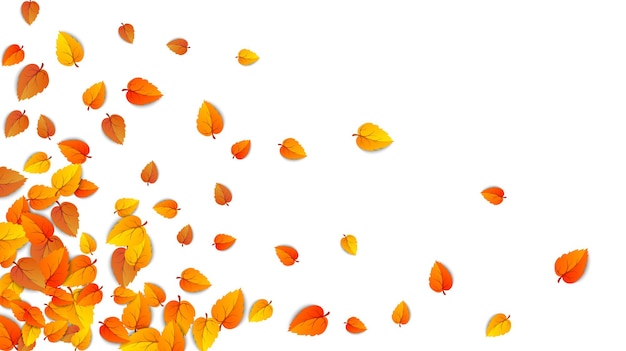 Banner horizontal de hojas de otoño transparente aislado sobre fondo blanco Plantilla de publicidad