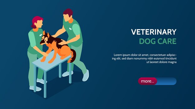 Banner horizontal isométrico de clínica veterinaria con dos veterinarios examinando perro 3d