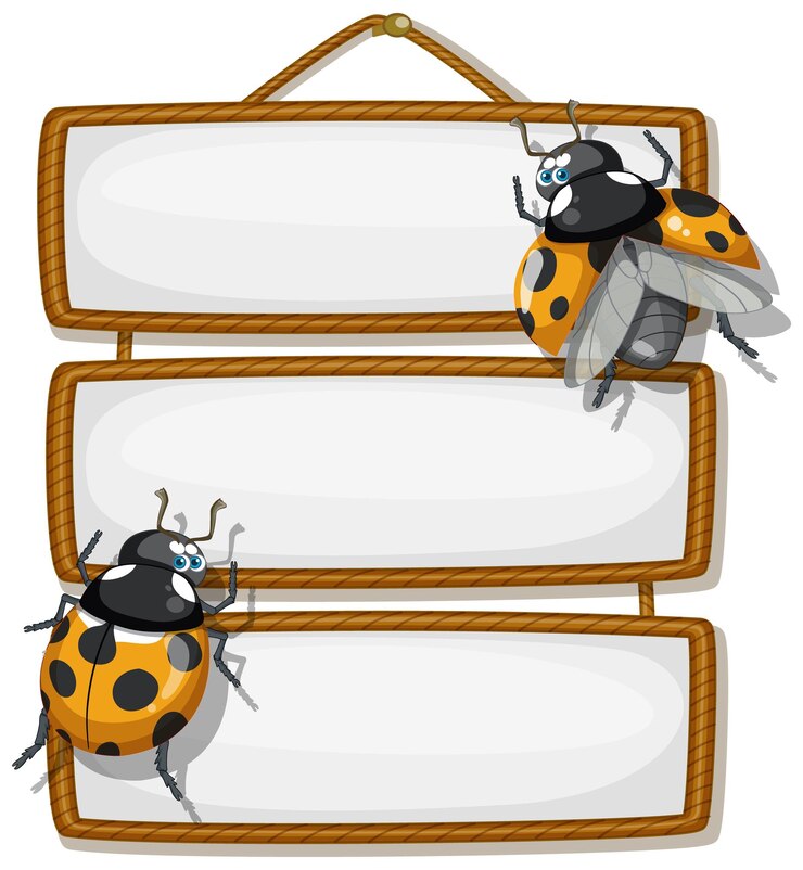 Vector gratuito banner de madera aislado con escarabajo