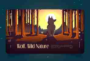 Vector gratuito banner de naturaleza salvaje con lobo sentado en el bosque al atardecer. página de inicio de vector con ilustración de dibujos animados del paisaje de bosques con pinos, montañas en el horizonte, animales salvajes y sol en el cielo al atardecer