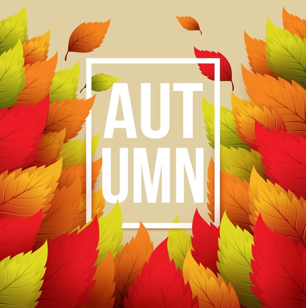 Banner de otoño con marco y hojas.