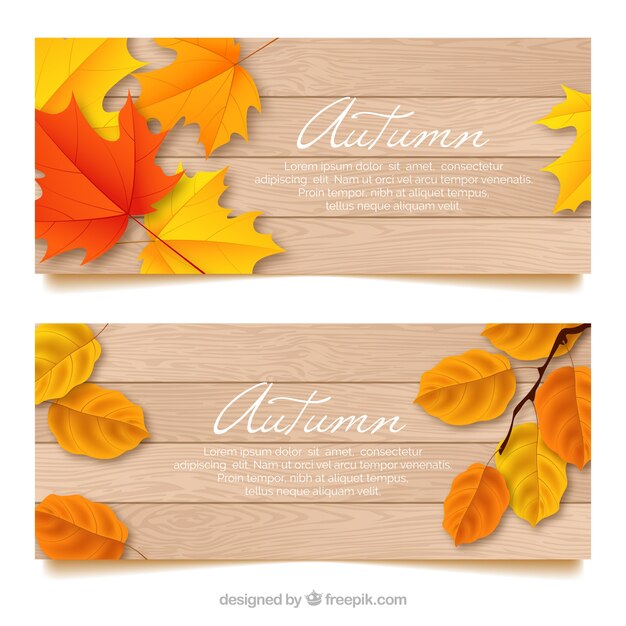 Banners adorables de otoño con diseño realista
