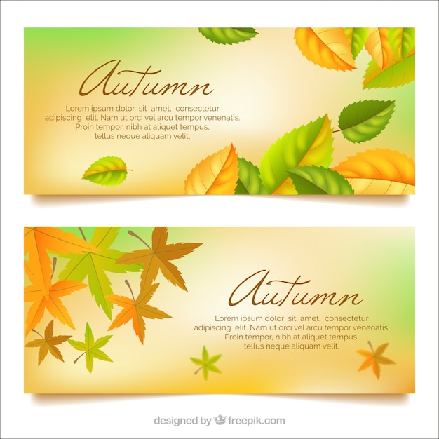 Banners adorables de otoño con diseño realista