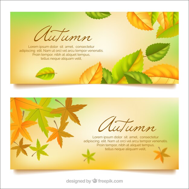 Banners adorables de otoño con diseño realista