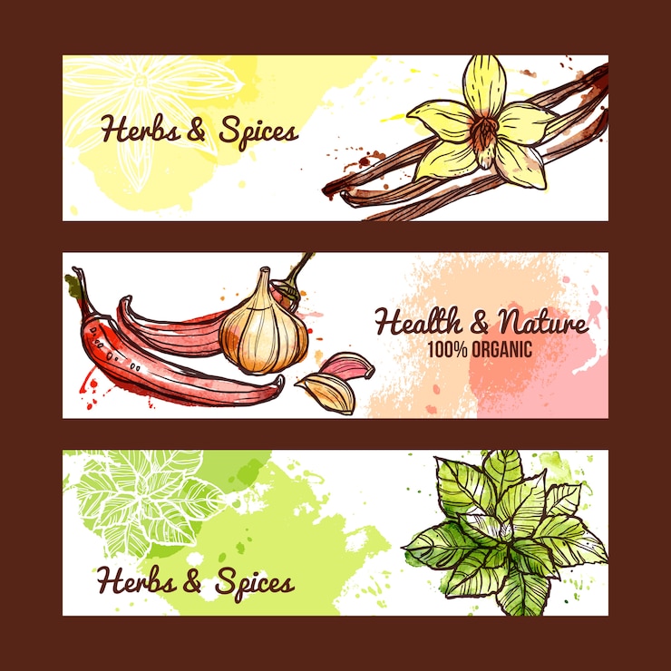 Vector gratuito banners de hierbas y especias