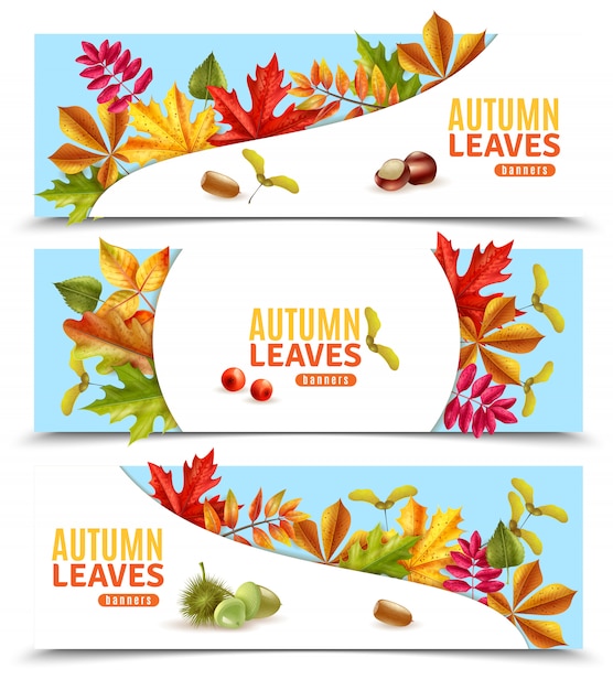 Vector gratuito banners de hojas de otoño