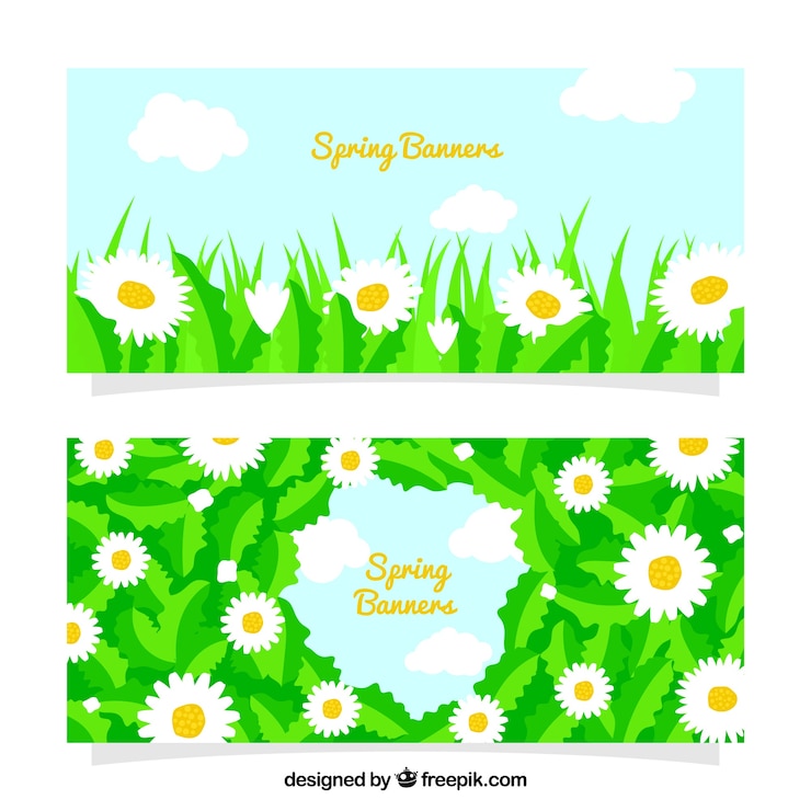 Vector gratuito banners planos con margaritas