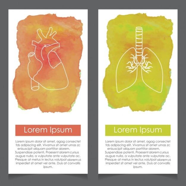 Banners sobre la anatomía humana, corazón y pulmones