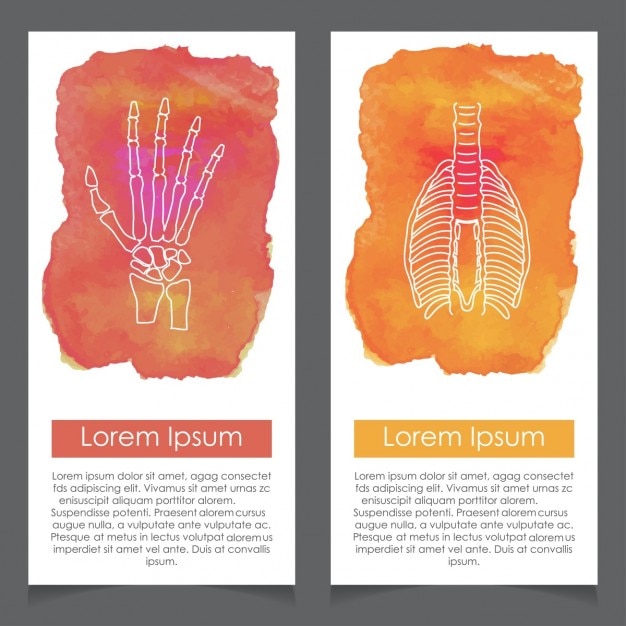 Vector gratuito banners sobre la anatomía humana, mano y tórax