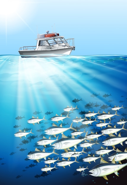 Barco de pesca y pesca bajo el mar.