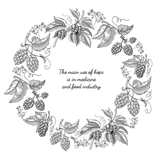 Beer hop round frame sketch composición mano dibujada braches con hojas y flores en blanco y negro