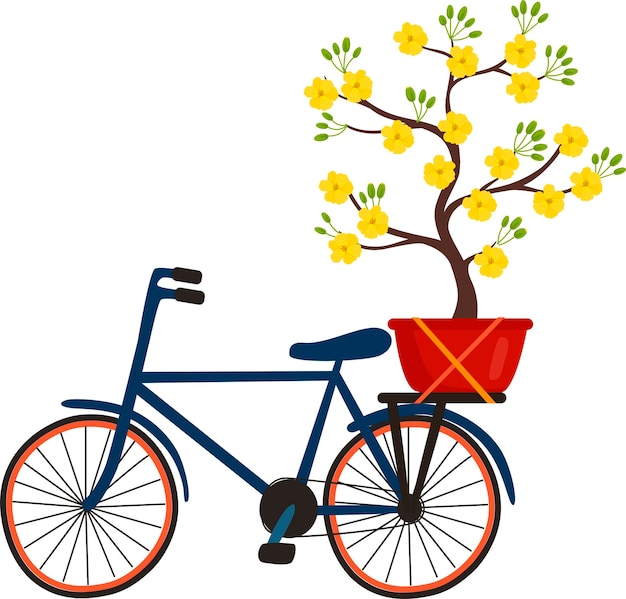 Una bicicleta con una flor amarilla de vietnam árbol de albaricoque ochna integerrima flor para las vacaciones de tet
