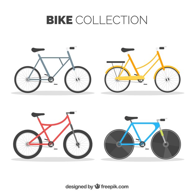 Bicicletas profesionales con diseño plano