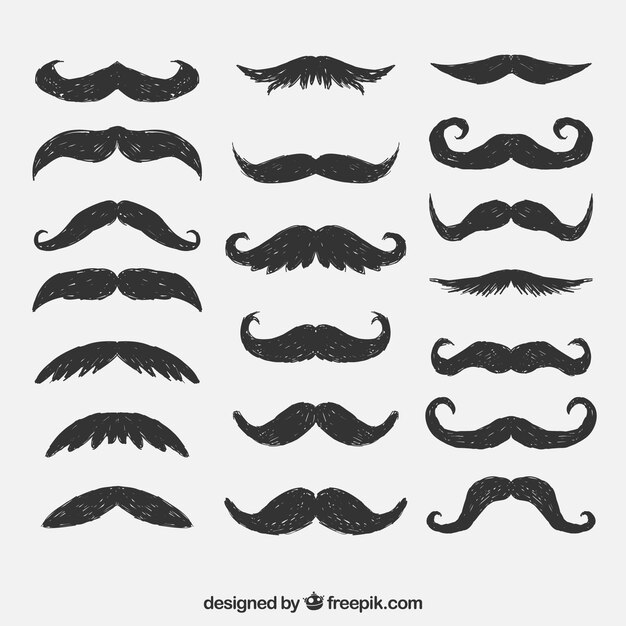 Bigotes dibujados a mano