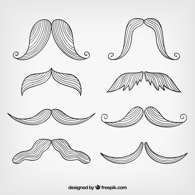 Bigotes esbozados