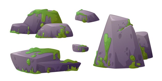Bloques de piedra cubiertos de musgo y rocas de pantano