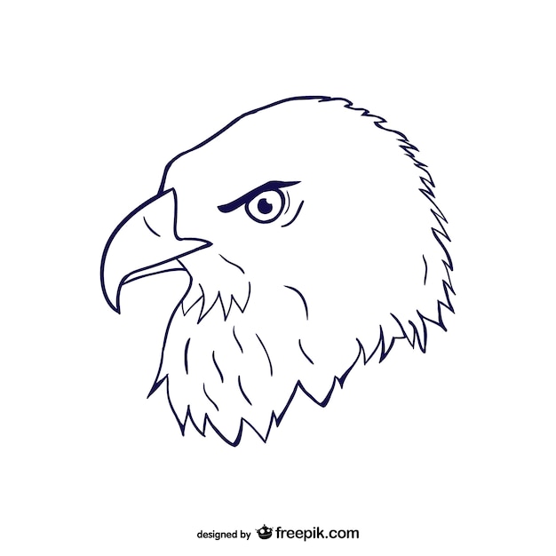 Boceto de cabeza de águila