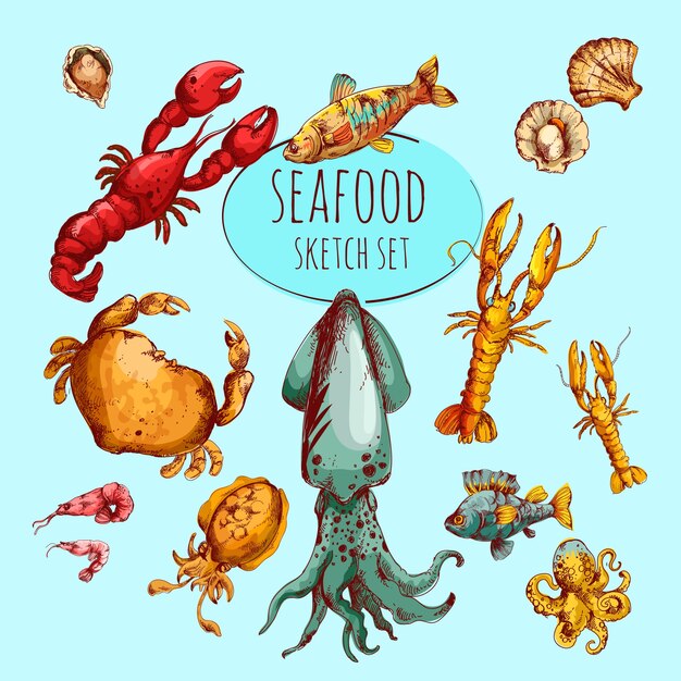 Boceto de mariscos de colores