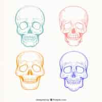 Vector gratuito bocetos de colores de calaveras