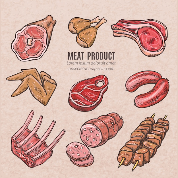 Vector gratuito bocetos de productos cárnicos en estilo vintage con pinchos, costillas de cerdo, filetes de alitas de pollo