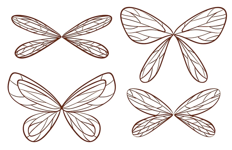 Vector gratuito bocetos simples de alas de hadas.
