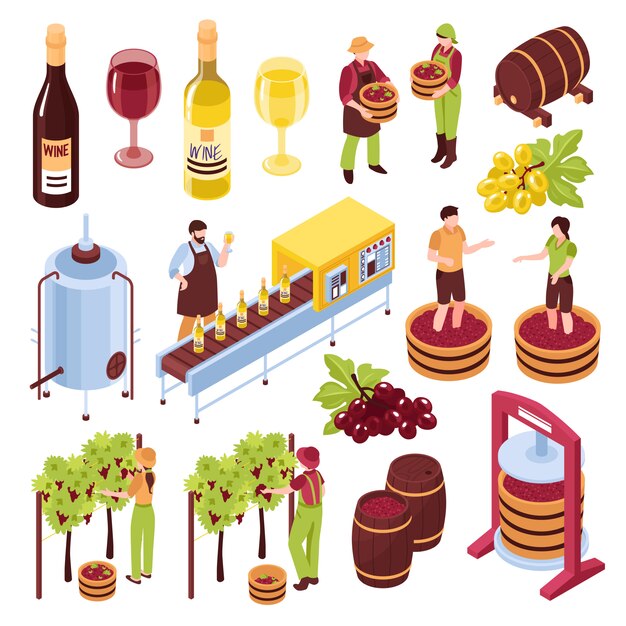 Bodega conjunto isométrico viñedo con prensado de cosecha de uvas embotelladora transportador bebida en copas ilustración aislada