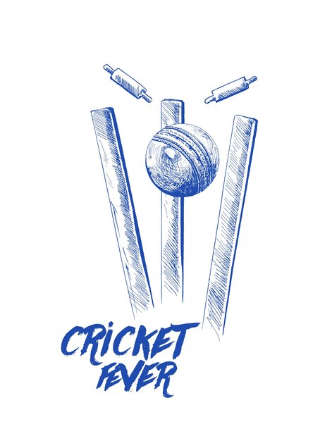 Bola de cricket golpeando bolos sobre wicket dibujo a mano alzada ilustración vectorial de diseño gráfico