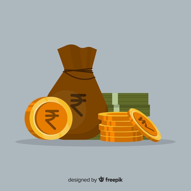 Bolsa de dinero de rupias indias
