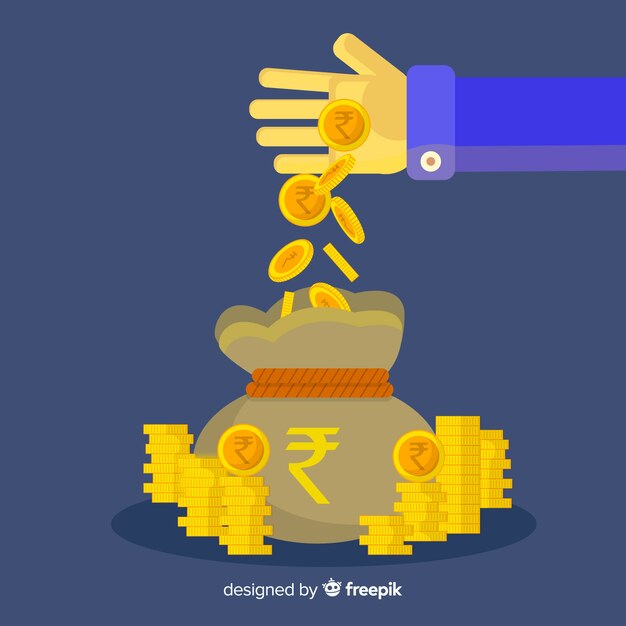 Bolsa de dinero de rupias indias