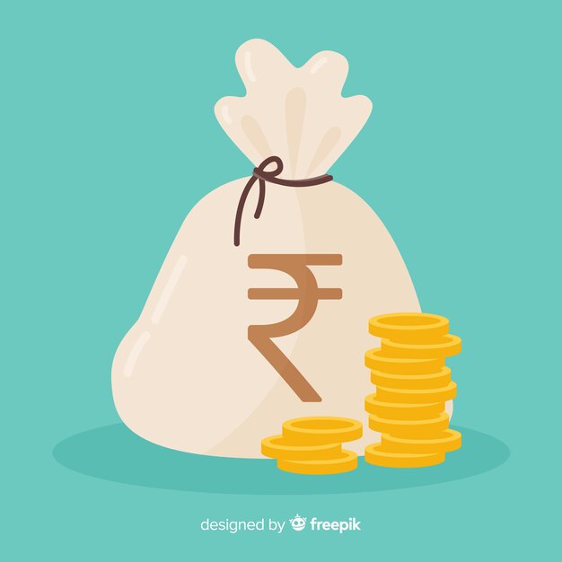 Bolsa de dinero de rupias indias