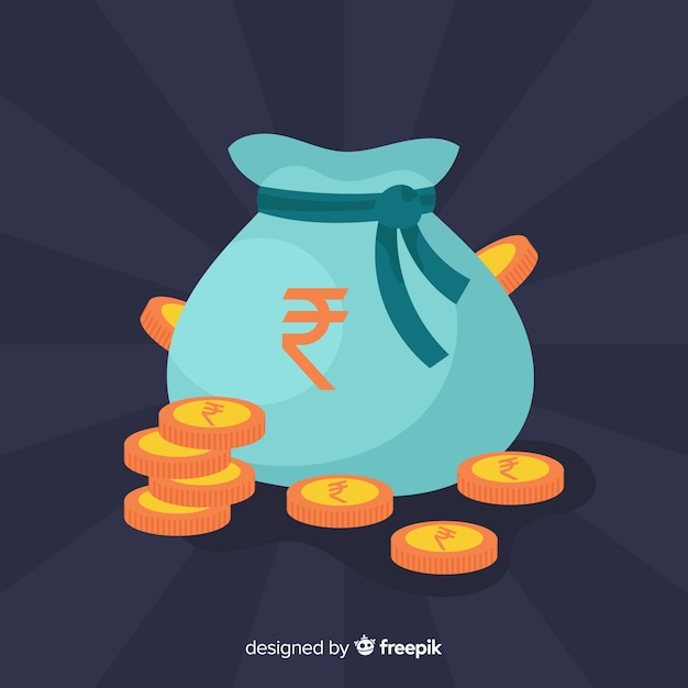 Bolsa de dinero de rupias indias