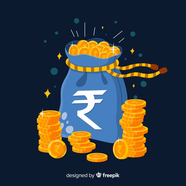 Bolsa de dinero en rupias indias