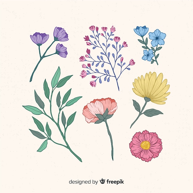 Bonita colección de flores dibujadas a mano.