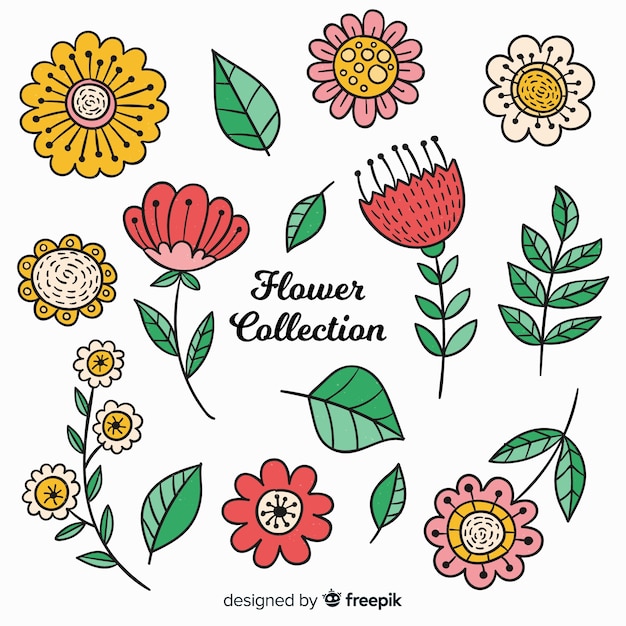 Bonita colección de flores dibujadas a mano.
