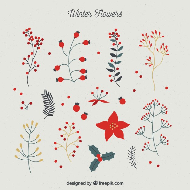 Bonita colección invernal de flores dibujadas a mano