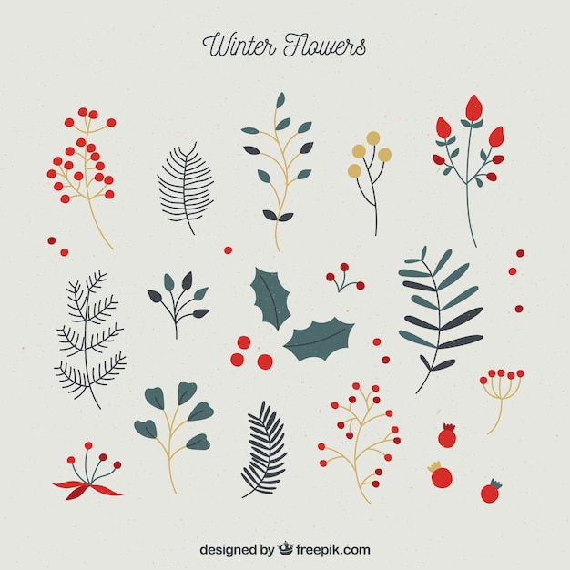 Bonita colección simple de flores de invierno