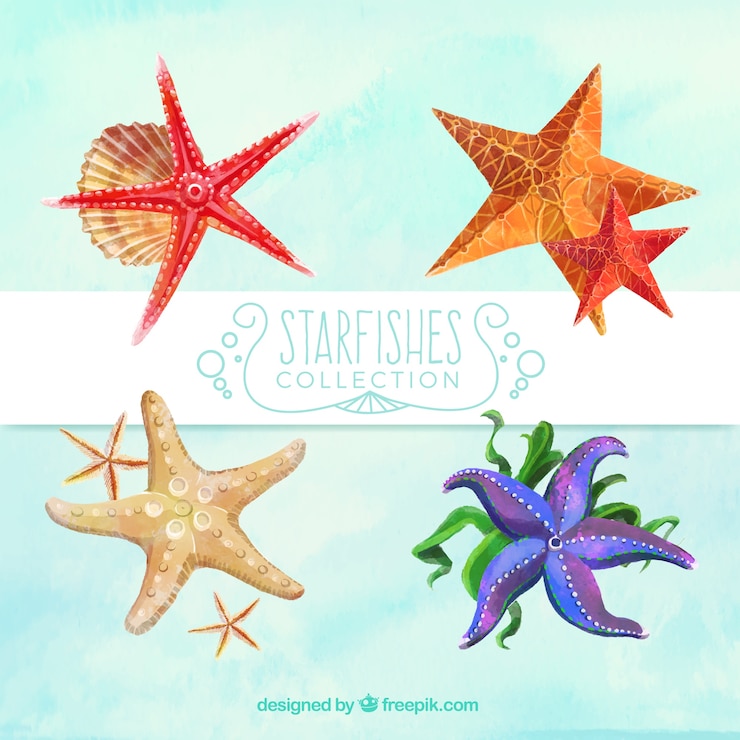 Vector gratuito bonitas estrellas de mar de acuarela
