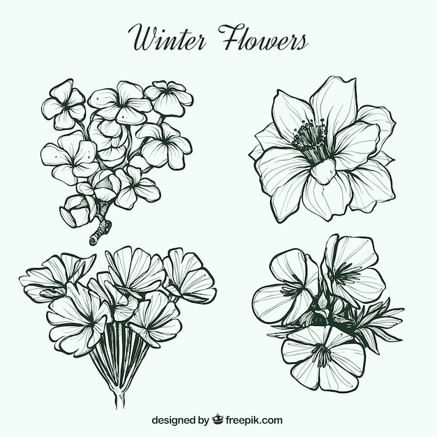 Vector gratuito bonitas flores de invierno dibujadas a mano