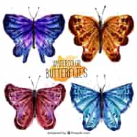 Vector gratuito bonitas mariposas de colores de acuarela