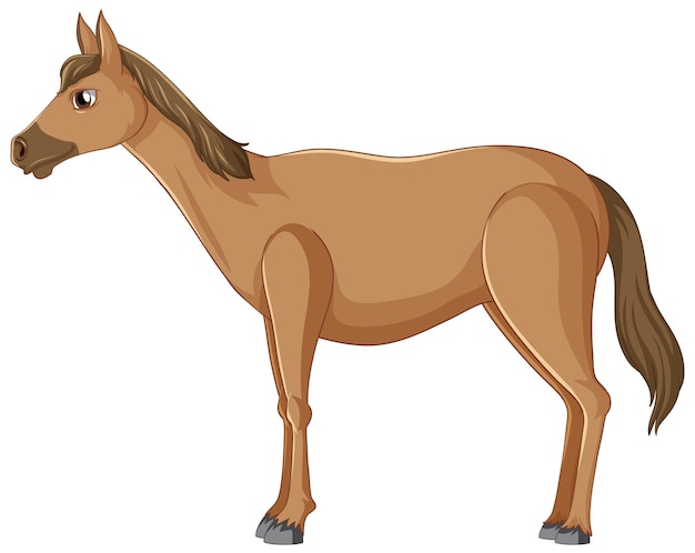 Vector gratuito un bonito caballo marrón sobre fondo blanco.