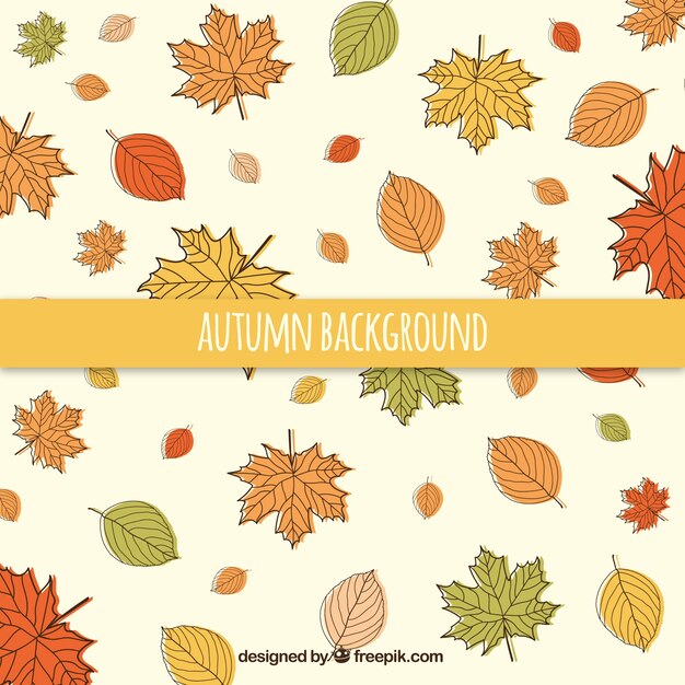 Bonito fondo de otoño con un marco floral
