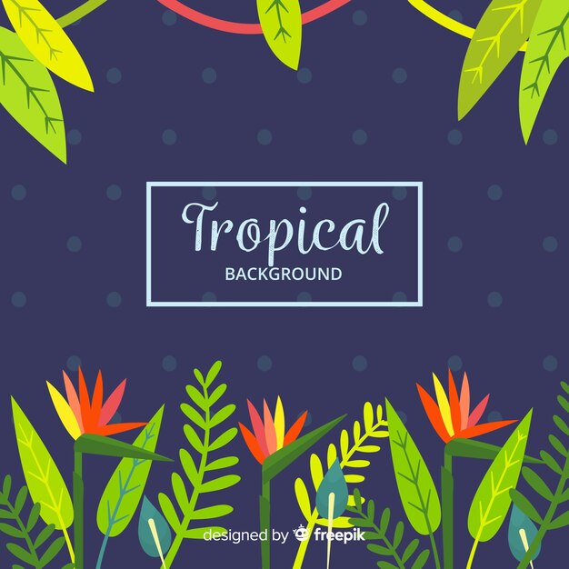 Bonito fondo tropical