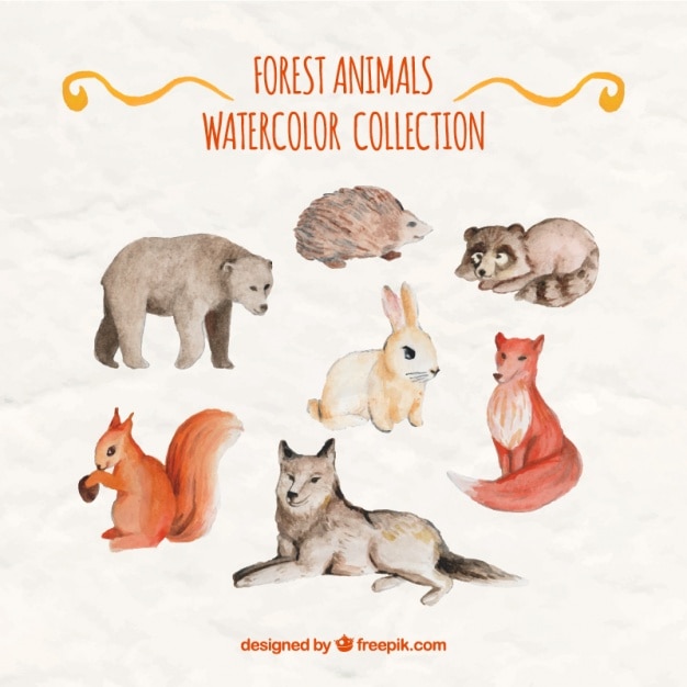 Bonitos animales del bosque de acuarela 