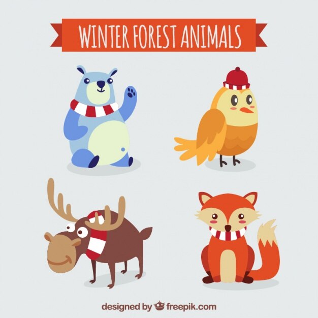 Bonitos animales con bufanda y gorro