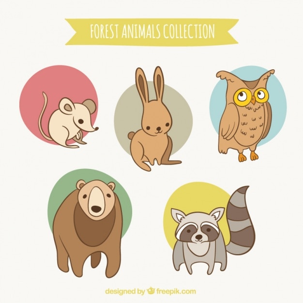 Vector gratuito bonitos animalillos del bosque dibujados a mano